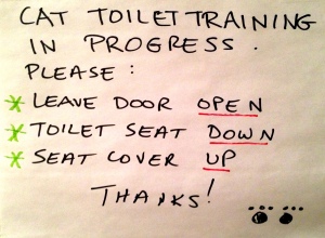Cat Toilet Training in Progress